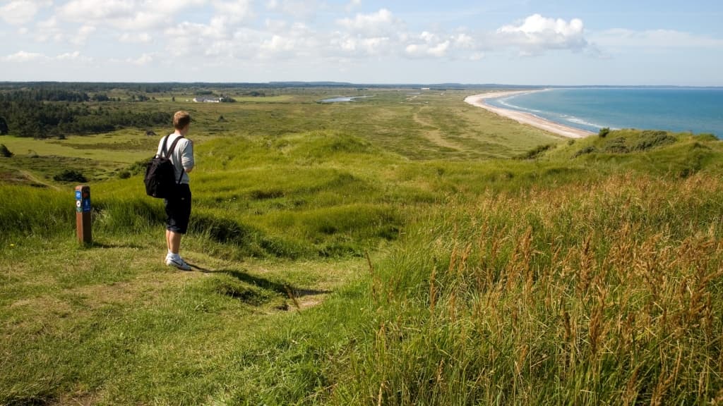 Svinkløv Klitplantage