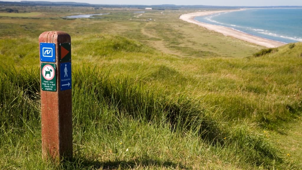 Svinkløv Klitplantage