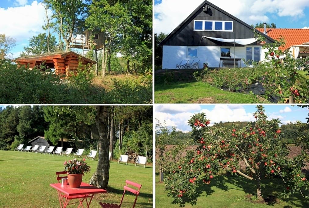 All das Beste zwischen Meer und Fjord - B&B