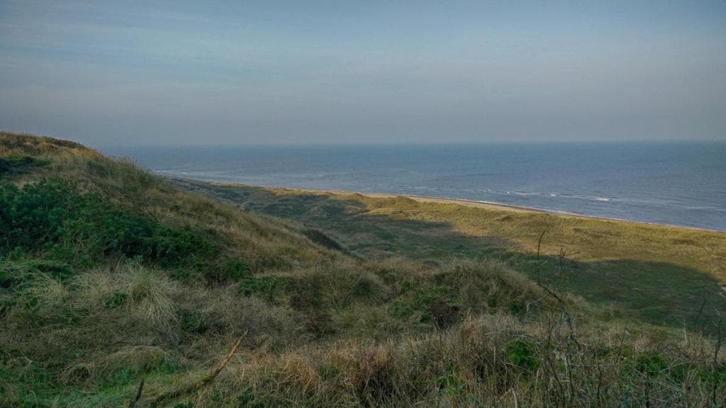 Svinkløv Klitplantage