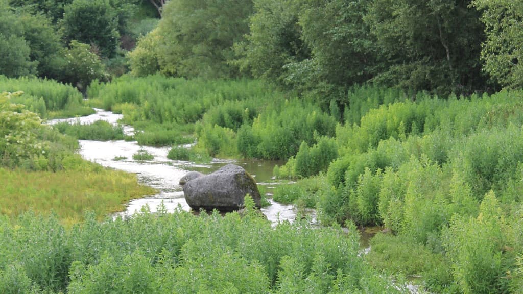 Gravlev Kilde (Quelle)