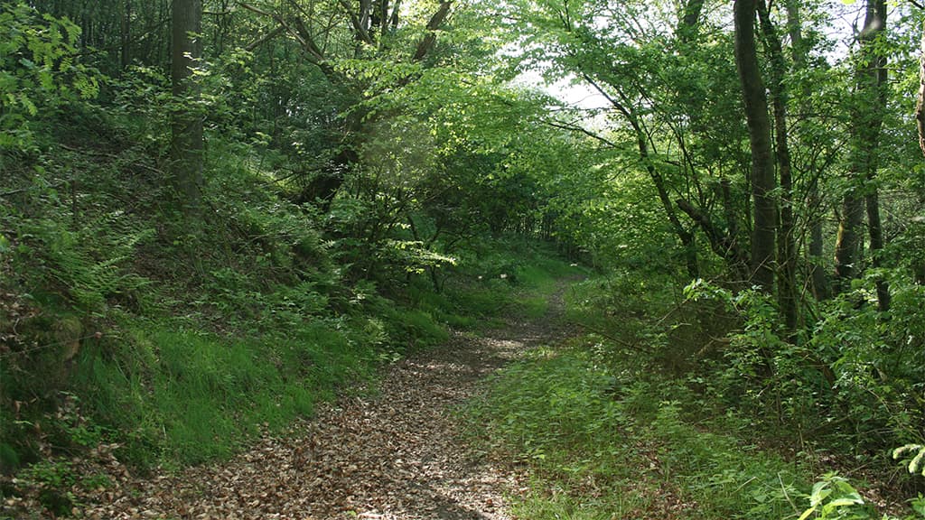 Geschützstand in Dover