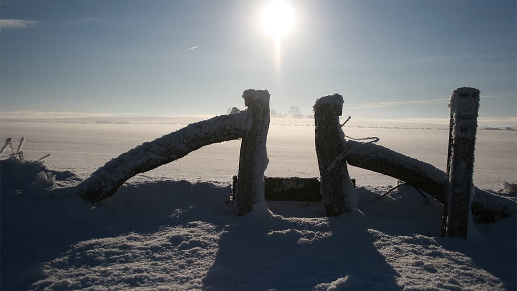 Lokes Høje, Grabhügel