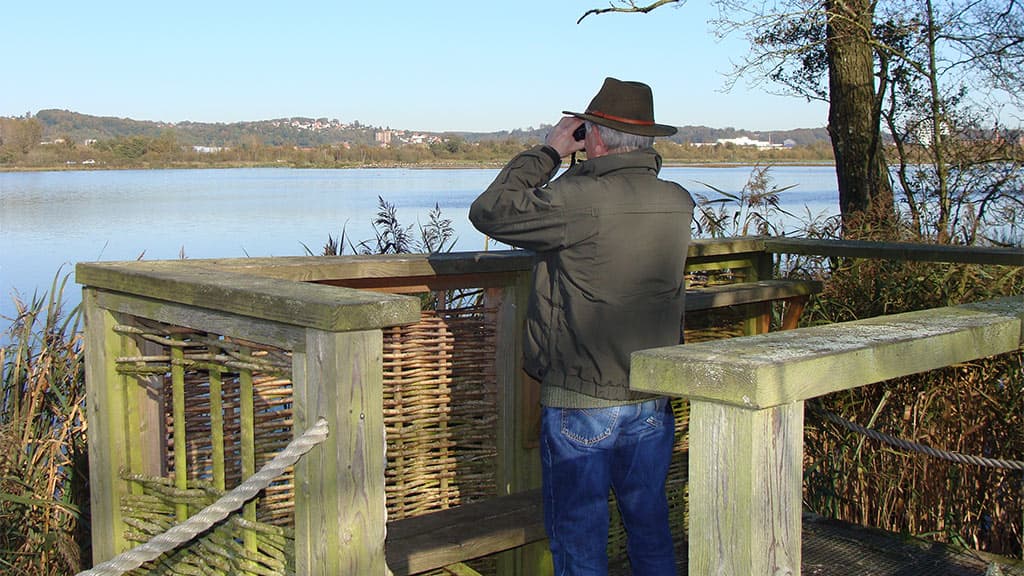 Feuchtgebiet Kongens Kær, See Knabberup und der Wald Haraldskær Skov