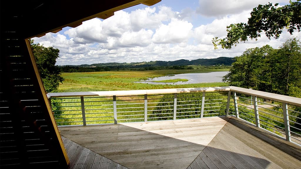 Feuchtgebiet Kongens Kær, See Knabberup und der Wald Haraldskær Skov
