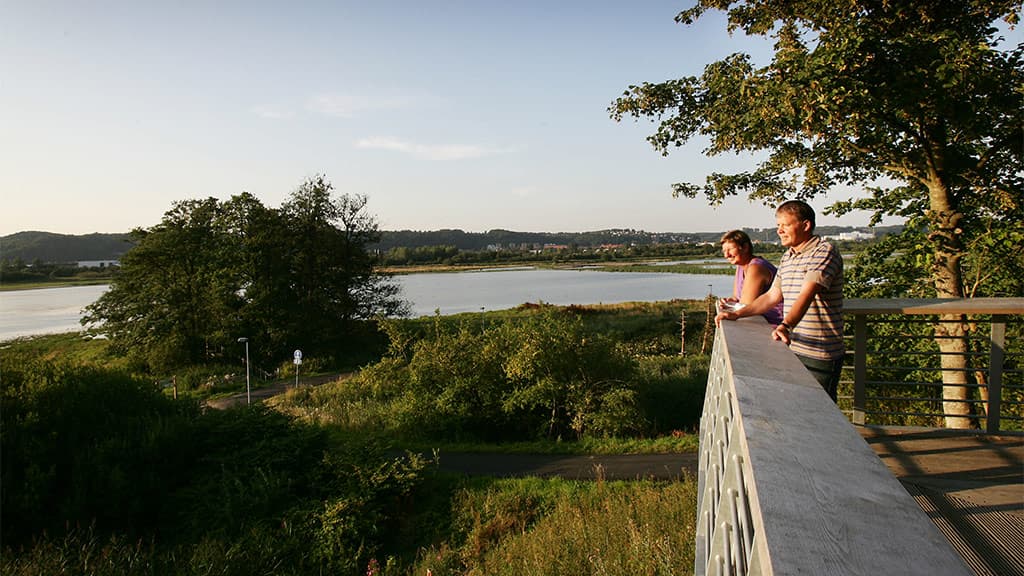 Feuchtgebiet Kongens Kær, See Knabberup und der Wald Haraldskær Skov