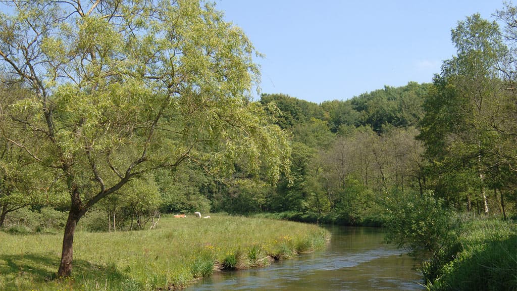 Feuchtgebiet Kongens Kær, See Knabberup und der Wald Haraldskær Skov
