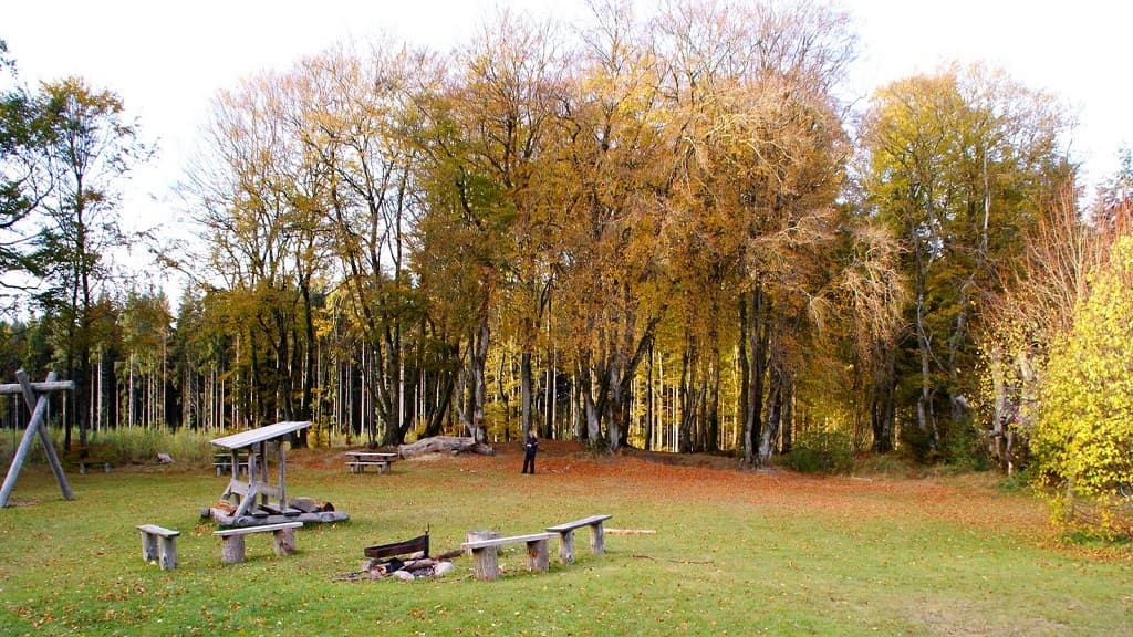 Stapelplatz in Arden 
