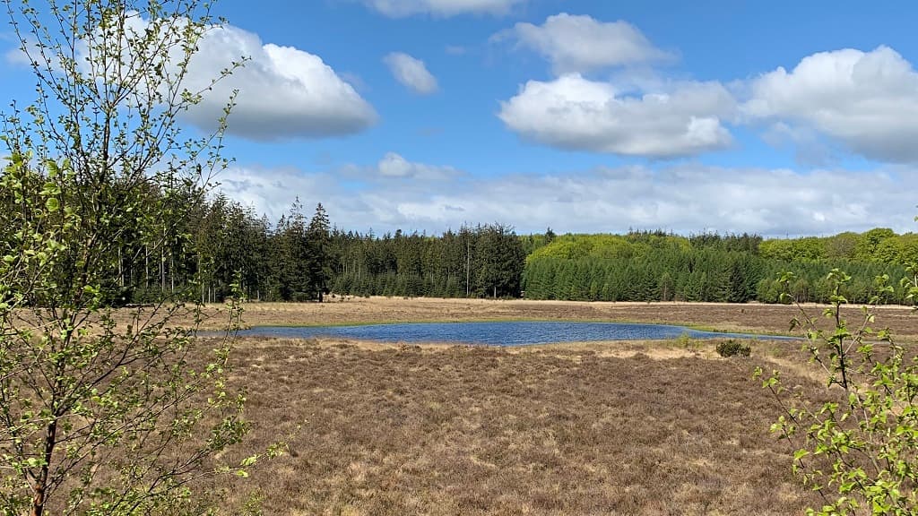 Lille Økssø (See)