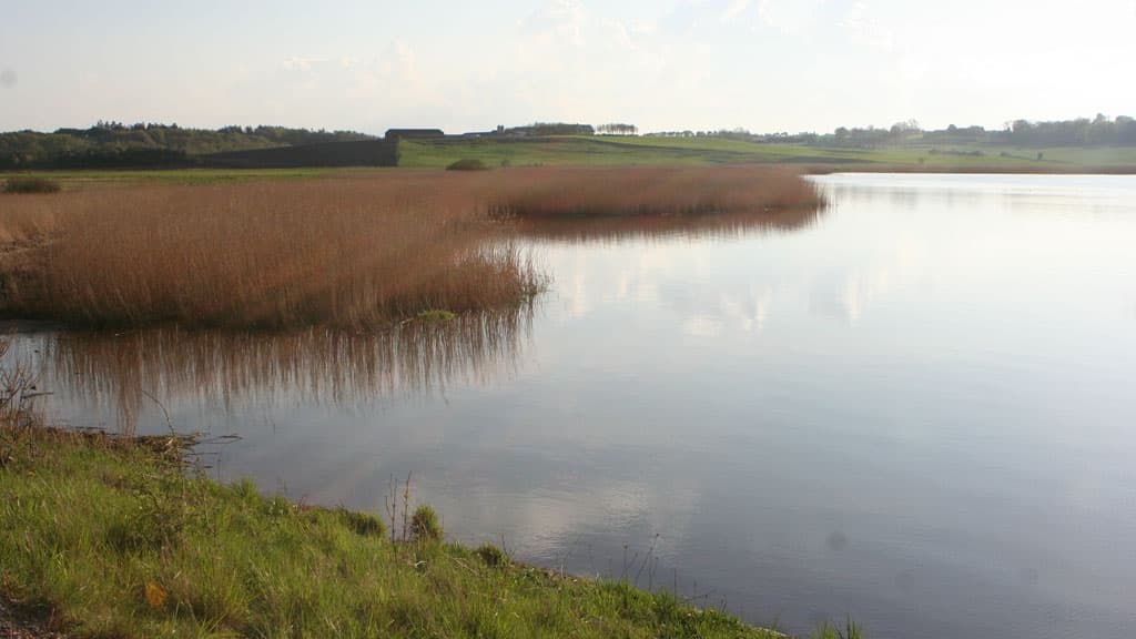 Skals Bach bei Viborg