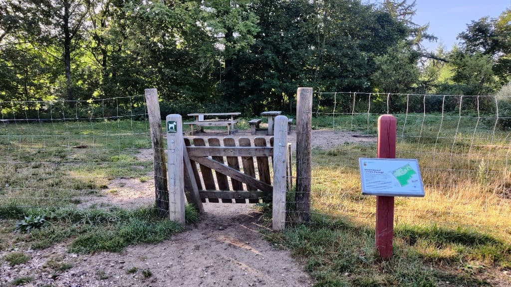 Lerskov Plantage Hundewald