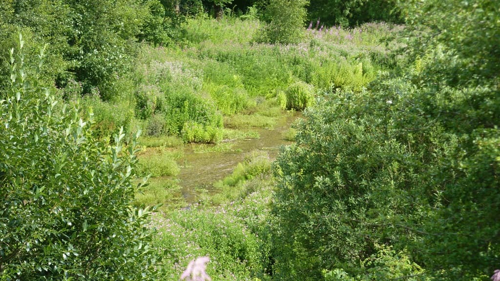 Gravlev Kilde (Quelle)