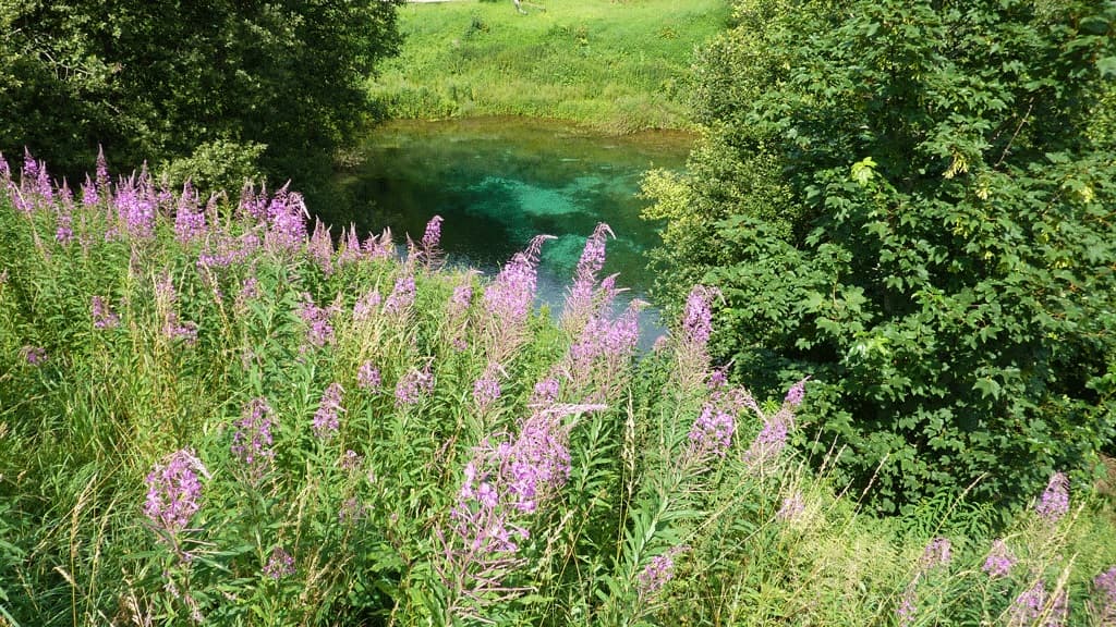 Gravlev Kilde (Quelle)