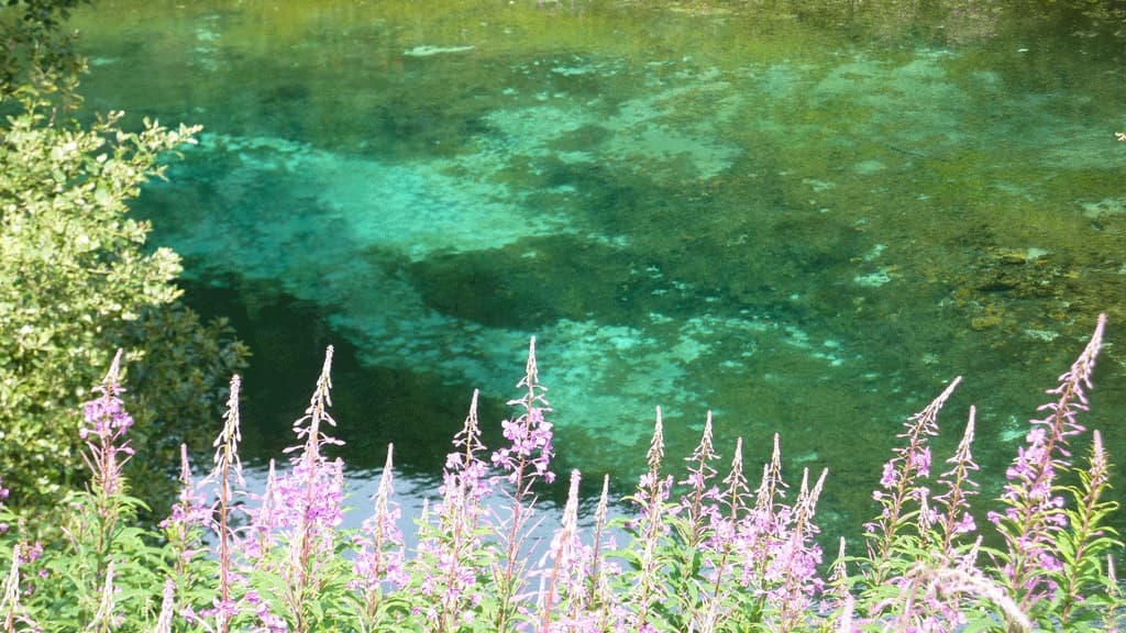 Gravlev Kilde (Quelle)