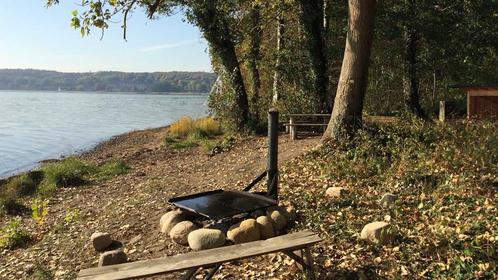 Kollund Skov - Shelterplatz an der Küste