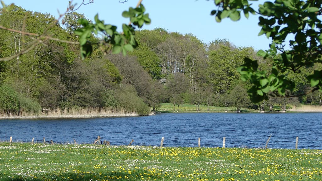 jels midtsø lystfisk