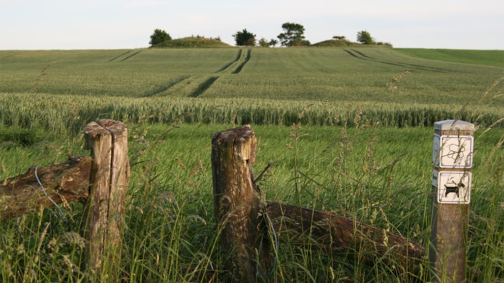 Lokes Høje, Grabhügel