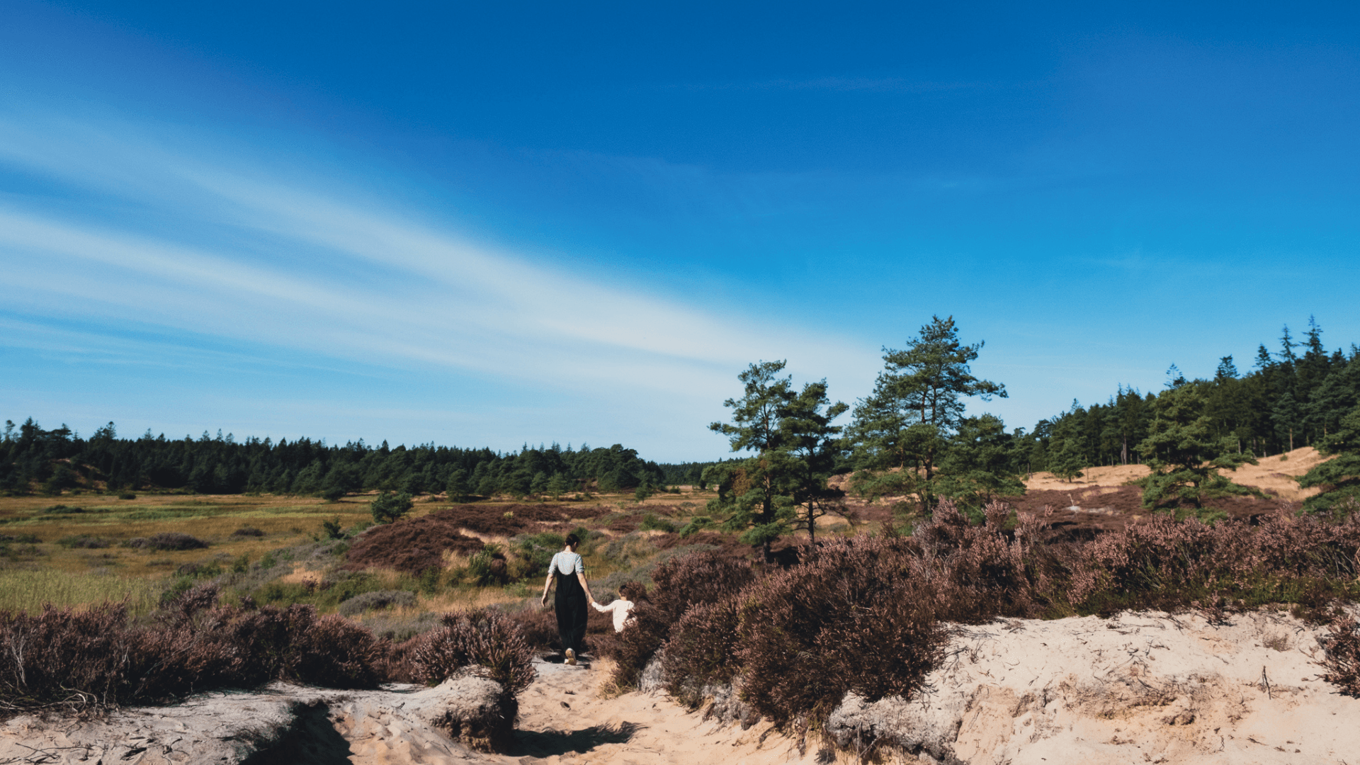 Gehölz Frederikshåb Plantage