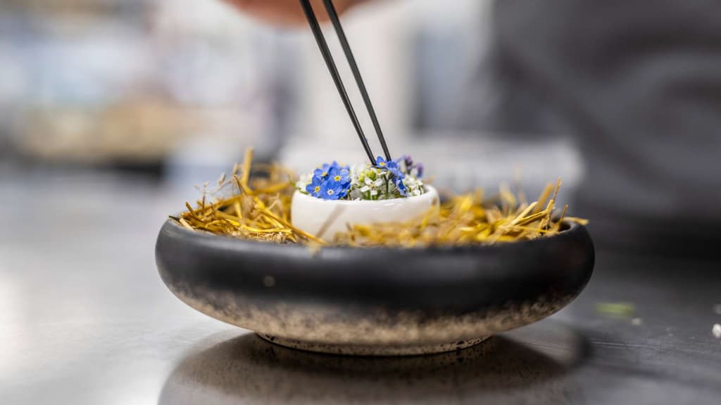 Scheelsminde, Restaurant Bühlmann