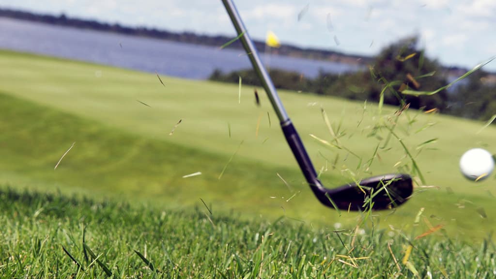Restaurant Hjarbæk Fjord